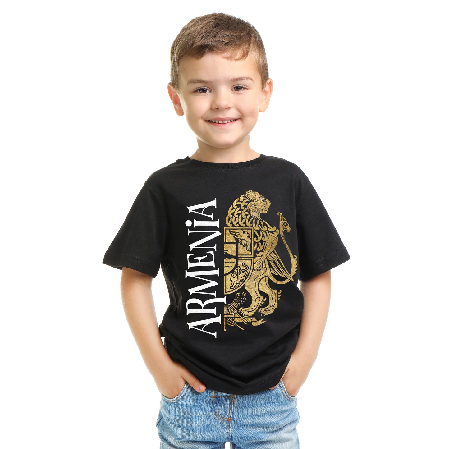 The Multiple Color Lion Armenia Coat of Arms Black T-Shirts